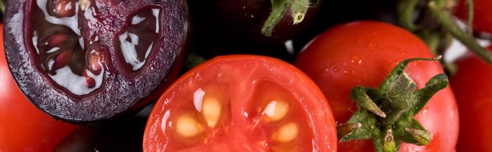 Purple Fleshed Tomato