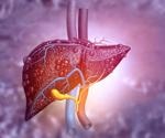 Globins in the body help fight liver disease