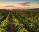 Are Sustainable Biopesticides the Future for Agriculture?