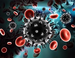 Researchers employ CRISPR gene-editing technology in human blood to cure HIV