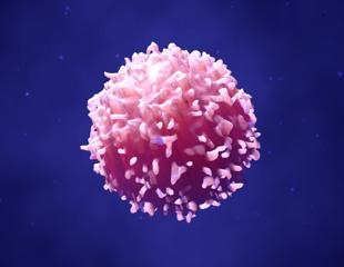 Researchers identify a way to accelerate "handbrake" immune cells to remove disease faster