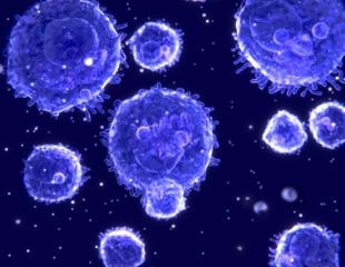 Immune cell migration contributes to inefficient antitumor immunity, study finds