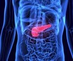Researchers discover a protein that protects the pancreas from self-digestion