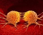 Study reveals advance in cell biology may lead to effective cancer therapy technique