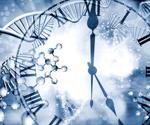 Maternal rhythms help to develop the suprachiasmatic nuclei’s “master clock”