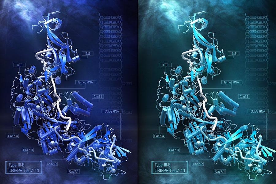 Researchers reveal that new compact version of Cas7-11 enzyme improves RNA editing