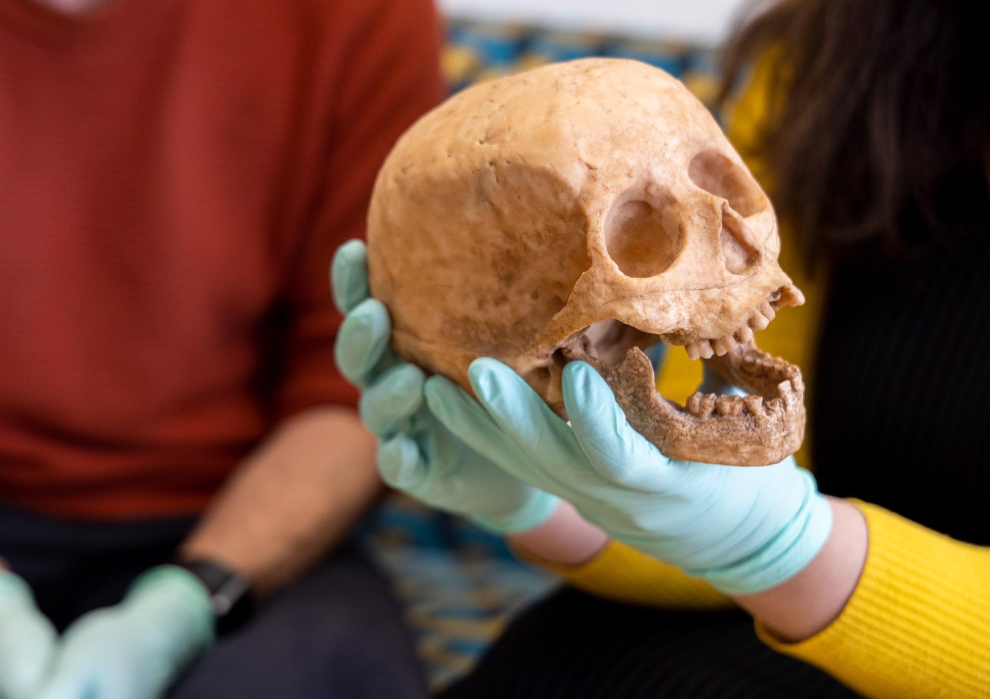 Vienna researchers aim to solve a great mystery of human evolution