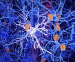 Researchers analyze functional microglia to empower retinal organ