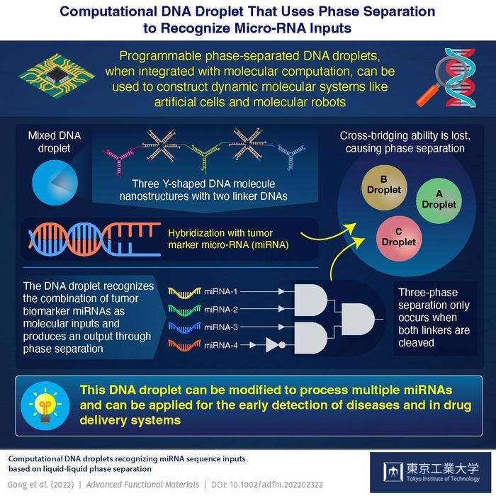 Computational DNA droplet recognizes a specific combination of tumor biomarker microRNAs