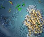 Researchers determine small protein’s structure, likely to pave the way for advanced treatments