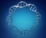 Researchers understand the mystery behind DNA rings