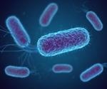 Scientists restructure the genome of E. coli using fragments extracted from mummy