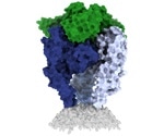 Researchers capture a new high-resolution view of the rabies virus