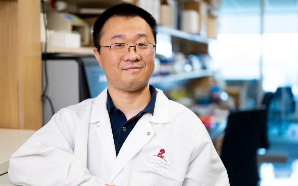 Scientists discover proteins that may improve CAR-T cell therapy for solid tumor model