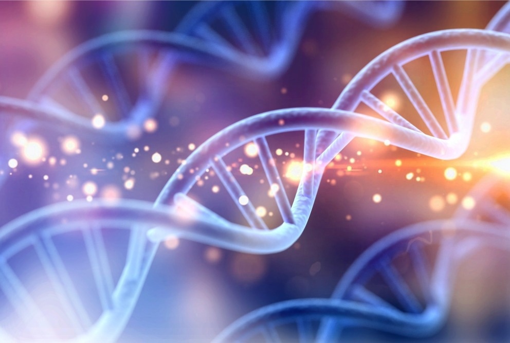 Researchers get deep insights into the functionality of human genome