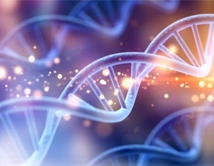 Researchers get deep insights into the functionality of human genome