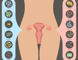 Probiotics do not enhance unhealthy vaginal health, recent study shows