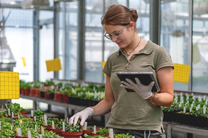 Research highlights the impacts of biomolecules in plants over stress