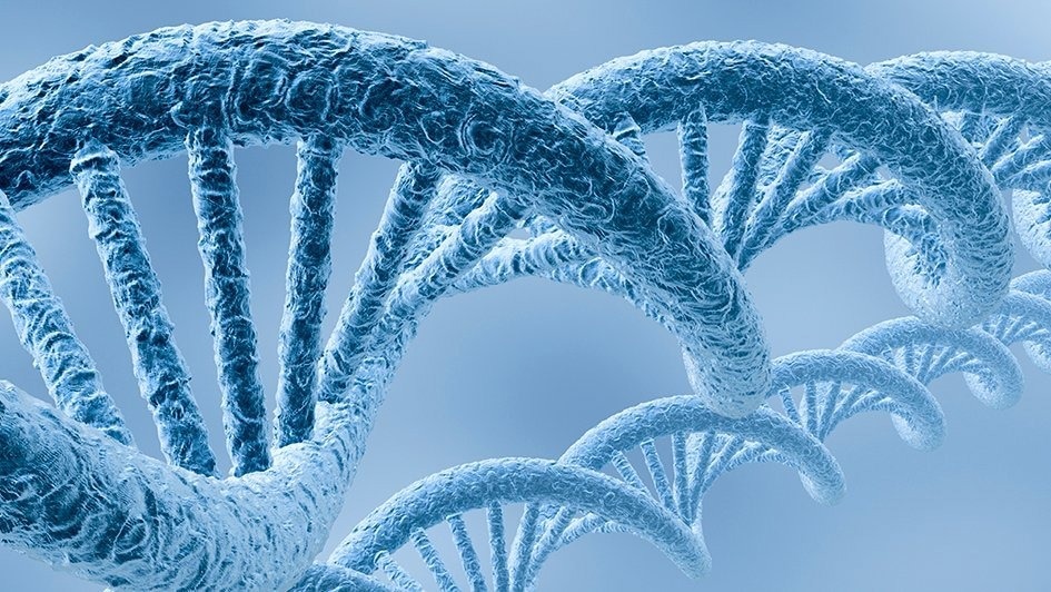 Researchers discover potential ways to comprehend DNA replication