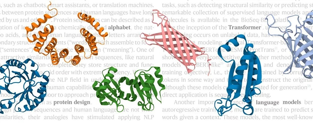 Computer-based natural language processing model generates de novo protein sequences in a high-throughput fashion
