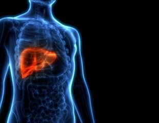 Study explains the dynamics underlying liver damage