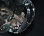 Studies on mice reveals the co-existence of gut bacteria and their hosts