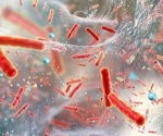 Using human saliva to treat infections that are resistant to antibiotics