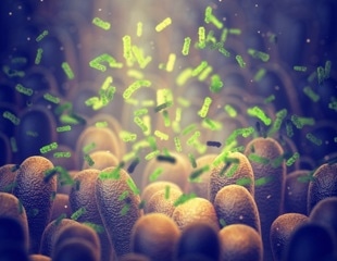 Microbes in the human gut impact neurological and emotional health