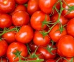 Using the genomes of wild tomato relatives to improve tomato