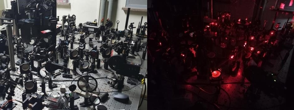 A new holographic microscope developed to observe neural networks in brain