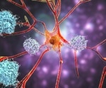 Gene governing cell division could shield against Alzheimer’s