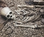 Ancient genomes reveal remarkable information about human evolution