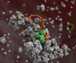 Providing structural understanding of the influenza virus