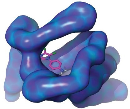Molecular motion of “undruggable” proteins reveals drug-binding sites