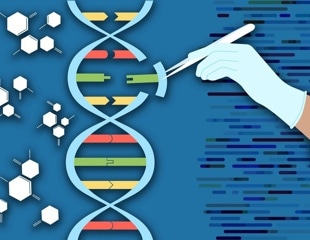 Newly developed tool helps snip out faulty genes in a safe manner