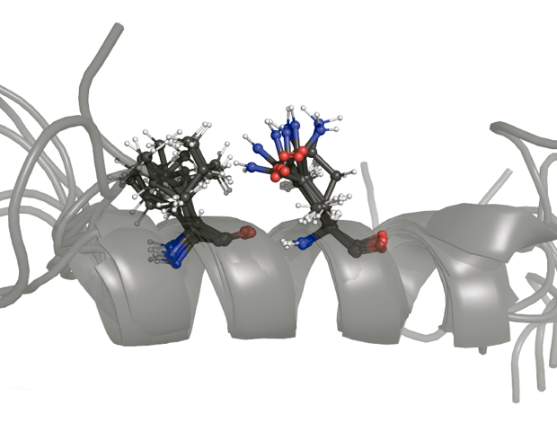 Preventing protein-protein interactions with a new tool