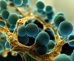 Analyzing how disease-causing fungi become resistant to antifungal drugs