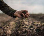 The value of soil multidiversity for ensuring soil health in rubber plantations