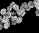 Analyzing microscopic chalk disks coccoliths formed by the marine algae