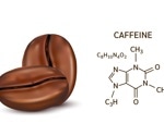 Influence of molecular component of caffeine on gut health