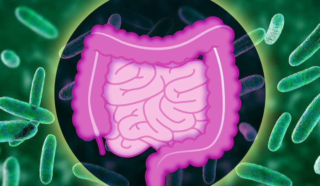 Novel mechanism by which bacteria colonize the gut identified