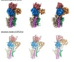 Determining the structure of protein pumps using cryo-EM