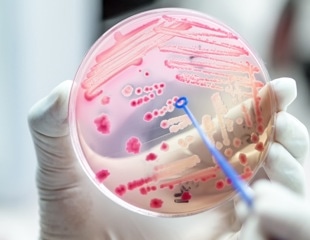 Two Molecular Mechanisms Combine to Make the Bacterium Extra Resistant