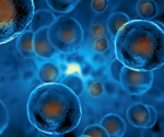 Analyzing the Cell Division in Stem Cells