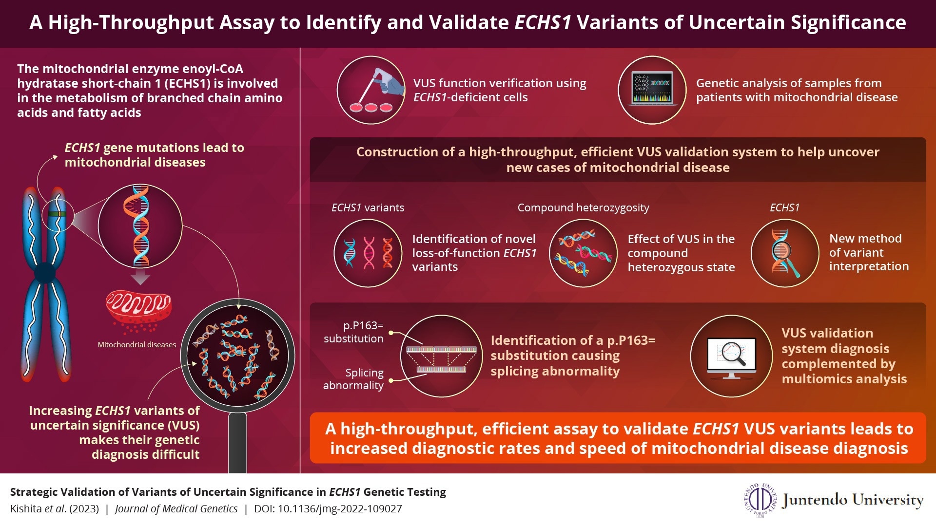 A High-Throughput Assay for Identifying and Validating ECHS1 Enzyme Genetic Variants
