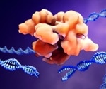 CRISPR/Cas9 Unlocks the Key Gene in the Development of Coral Skeleton Formation