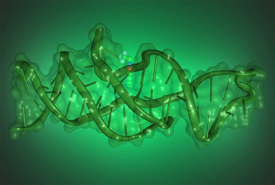 Elaborate 3D Structures of DNA That Mimics Protein Functions