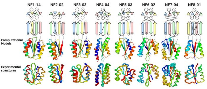 Researchers Uncover Astonishing Diversity of Protein Structures Previously Unexplored