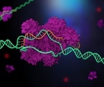 Gene Recognition of CRISPR-Cas Visualized With New Method