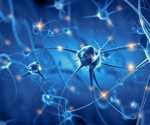 Developing a Fluorescent Sensor to Visualize Neuronal Self-Connectivity